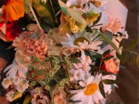 das zu löschende Bild