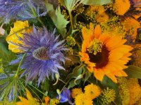 das zu löschende Bild