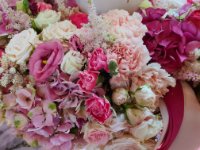 das zu drehende Bild