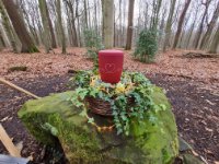 ein Bild aus dem Album