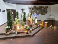 das zu meldende Bild