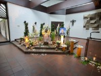 das zu meldende Bild