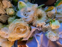 das zu meldende Bild