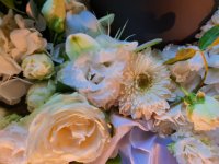 das zu löschende Bild