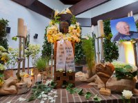 das zu meldende Bild