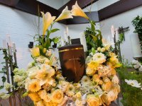 das zu meldende Bild