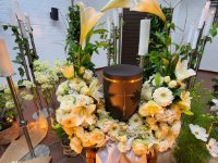 das zu meldende Bild