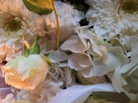 das zu löschende Bild