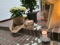 das zu meldende Bild