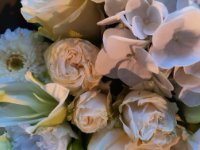 das zu löschende Bild