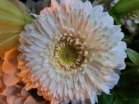 das zu löschende Bild