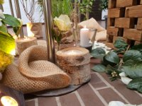 das zu löschende Bild