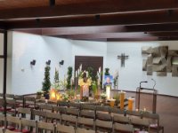 das zu meldende Bild