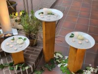 das zu meldende Bild