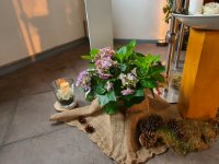 das zu meldende Bild