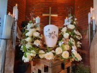 das zu meldende Bild