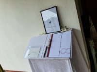 das zu meldende Bild