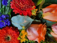 das zu meldende Bild