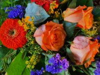 das zu meldende Bild