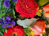 das zu meldende Bild