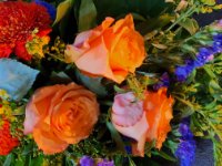 das zu meldende Bild