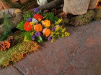 das zu meldende Bild