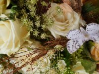 das zu meldende Bild