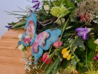 ein Bild aus dem Album