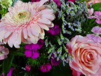 das zu drehende Bild