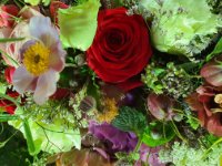 das zu drehende Bild