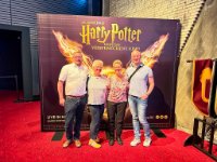 das zu meldende Bild