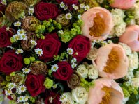 das zu löschende Bild