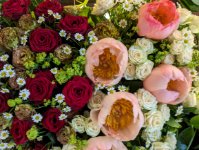 das zu löschende Bild