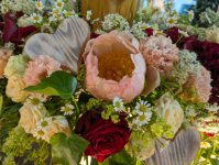 das zu löschende Bild