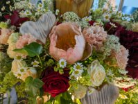 das zu löschende Bild