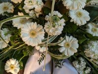 das zu meldende Bild