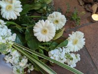 das zu löschende Bild