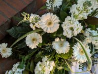 das zu löschende Bild