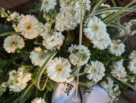 das zu löschende Bild