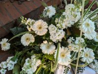 das zu löschende Bild