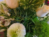 das zu drehende Bild