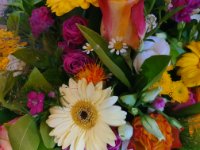 das zu löschende Bild