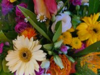 das zu löschende Bild