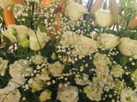 das zu meldende Bild