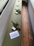das zu meldende Bild