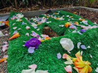 ein Bild aus dem Album